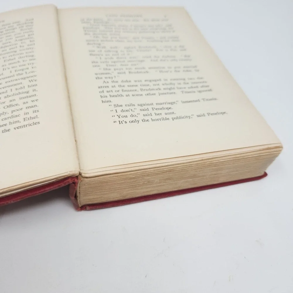 Vintage Red Hard Cover Lady Penelope Author Morley Roberts Pub. 1905 - Picture 12 of 14